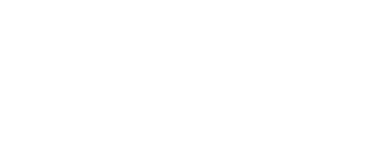 Safi logo